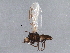  ( - BIOUG07711-H09)  @13 [ ] CreativeCommons - Attribution (2015) CBG Photography Group Centre for Biodiversity Genomics