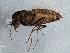  ( - BIOUG07711-A02)  @13 [ ] CreativeCommons - Attribution (2013) CBG Photography Group Centre for Biodiversity Genomics