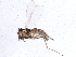  ( - BIOUG07711-C08)  @13 [ ] CreativeCommons - Attribution (2013) CBG Photography Group Centre for Biodiversity Genomics