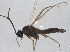  ( - BIOUG07713-F03)  @12 [ ] CreativeCommons - Attribution (2013) CBG Photography Group Centre for Biodiversity Genomics
