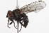  ( - BIOUG07714-B11)  @13 [ ] CreativeCommons - Attribution (2013) CBG Photography Group Centre for Biodiversity Genomics