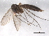  ( - BIOUG07725-H11)  @13 [ ] CreativeCommons - Attribution (2013) CBG Photography Group Centre for Biodiversity Genomics