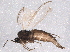  ( - BIOUG07727-G02)  @12 [ ] CreativeCommons - Attribution (2013) CBG Photography Group Centre for Biodiversity Genomics