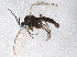  ( - BIOUG07729-D05)  @13 [ ] CreativeCommons - Attribution (2013) CBG Photography Group Centre for Biodiversity Genomics