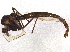  ( - BIOUG07730-E07)  @13 [ ] CreativeCommons - Attribution (2013) CBG Photography Group Centre for Biodiversity Genomics