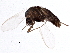 ( - BIOUG07726-A06)  @14 [ ] CreativeCommons - Attribution (2013) CBG Photography Group Centre for Biodiversity Genomics