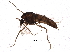  ( - BIOUG07732-B02)  @12 [ ] CreativeCommons - Attribution (2015) CBG Photography Group Centre for Biodiversity Genomics