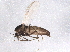  ( - BIOUG07738-F09)  @12 [ ] CreativeCommons - Attribution (2013) CBG Photography Group Centre for Biodiversity Genomics