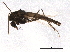 ( - BIOUG07765-D04)  @13 [ ] CreativeCommons - Attribution (2013) CBG Photography Group Centre for Biodiversity Genomics