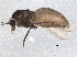  ( - BIOUG07830-E10)  @13 [ ] CreativeCommons - Attribution (2013) CBG Photography Group Centre for Biodiversity Genomics