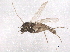  ( - BIOUG07860-C04)  @13 [ ] CreativeCommons - Attribution (2013) CBG Photography Group Centre for Biodiversity Genomics