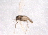  ( - BIOUG07863-H06)  @12 [ ] CreativeCommons - Attribution (2013) CBG Photography Group Centre for Biodiversity Genomics