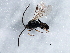  ( - BIOUG07192-E05)  @12 [ ] CreativeCommons - Attribution (2013) CBG Photography Group Centre for Biodiversity Genomics