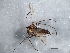  ( - BIOUG07857-B03)  @13 [ ] CreativeCommons - Attribution (2013) CBG Photography Group Centre for Biodiversity Genomics