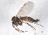  ( - BIOUG07872-H04)  @13 [ ] CreativeCommons - Attribution (2013) CBG Photography Group Centre for Biodiversity Genomics