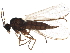  ( - BIOUG07875-C10)  @14 [ ] CreativeCommons - Attribution (2015) CBG Photography Group Centre for Biodiversity Genomics