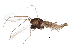  ( - BIOUG07877-D11)  @13 [ ] CreativeCommons - Attribution (2015) CBG Photography Group Centre for Biodiversity Genomics