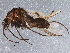  ( - BIOUG08892-C06)  @14 [ ] CreativeCommons - Attribution (2015) CBG Photography Group Centre for Biodiversity Genomics