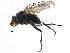  ( - BIOUG08898-B08)  @13 [ ] CreativeCommons - Attribution (2015) CBG Photography Group Centre for Biodiversity Genomics