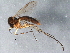  ( - BIOUG08896-H05)  @13 [ ] CreativeCommons - Attribution (2015) CBG Photography Group Centre for Biodiversity Genomics