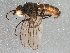  ( - BIOUG09102-G06)  @13 [ ] CreativeCommons - Attribution (2015) CBG Photography Group Centre for Biodiversity Genomics