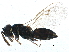  ( - BIOUG09105-A11)  @13 [ ] CreativeCommons - Attribution (2015) CBG Photography Group Centre for Biodiversity Genomics
