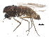  ( - BIOUG15485-D03)  @14 [ ] CreativeCommons - Attribution (2015) CBG Photography Group Centre for Biodiversity Genomics