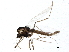  ( - BIOUG15521-F08)  @13 [ ] CreativeCommons - Attribution (2015) CBG Photography Group Centre for Biodiversity Genomics