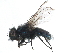  ( - BIOUG15573-B05)  @14 [ ] CreativeCommons - Attribution (2015) CBG Photography Group Centre for Biodiversity Genomics
