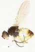  ( - BIOUG16214-F05)  @13 [ ] CreativeCommons - Attribution Non-Commercial Share-Alike (2016) Unspecified Zoologisches Forschungsmuseum Alexander Koenig, Bonn