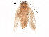  ( - BIOUG16270-G06)  @12 [ ] CreativeCommons - Attribution (2015) CBG Photography Group Centre for Biodiversity Genomics