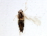 ( - BIOUG16271-C06)  @12 [ ] CreativeCommons - Attribution (2015) CBG Photography Group Centre for Biodiversity Genomics