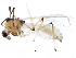  ( - BIOUG16614-H07)  @13 [ ] CreativeCommons - Attribution (2015) CBG Photography Group Centre for Biodiversity Genomics