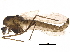  ( - BIOUG16784-B05)  @13 [ ] CreativeCommons - Attribution (2015) CBG Photography Group Centre for Biodiversity Genomics