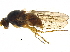  ( - BIOUG16848-F11)  @13 [ ] CreativeCommons - Attribution (2015) CBG Photography Group Centre for Biodiversity Genomics