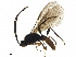  ( - BIOUG42656-C02)  @14 [ ] CreativeCommons - Attribution (2019) CBG Photography Group Centre for Biodiversity Genomics