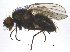  ( - BIOUG05049-G02)  @13 [ ] CreativeCommons - Attribution (2013) CBG Photography Group Centre for Biodiversity Genomics