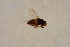  ( - BIOUG05105-H11)  @12 [ ] CreativeCommons - Attribution Non-Commercial Share-Alike (2015) Unspecified SNSB, Zoologische Staatssammlung Muenchen