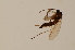  ( - BIOUG05210-E10)  @12 [ ] CreativeCommons - Attribution Non-Commercial Share-Alike (2015) Unspecified SNSB, Zoologische Staatssammlung Muenchen