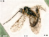  ( - BIOUG05261-F09)  @12 [ ] by-nc-sa (2020) SNSB, Staatliche Naturwissenschaftliche Sammlungen Bayerns SNSB, Zoologische Staatssammlung Muenchen