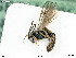  ( - BIOUG05262-E03)  @12 [ ] by-nc-sa (2020) SNSB, Staatliche Naturwissenschaftliche Sammlungen Bayerns SNSB, Zoologische Staatssammlung Muenchen