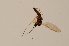  ( - BIOUG05389-E05)  @12 [ ] CreativeCommons - Attribution Non-Commercial Share-Alike (2015) Unspecified SNSB, Zoologische Staatssammlung Muenchen