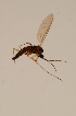  ( - BIOUG05389-E05)  @12 [ ] CreativeCommons - Attribution Non-Commercial Share-Alike (2015) Unspecified SNSB, Zoologische Staatssammlung Muenchen