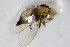  ( - BIOUG05390-G02)  @12 [ ] CreativeCommons - Attribution Non-Commercial Share-Alike (2015) Unspecified SNSB, Zoologische Staatssammlung Muenchen