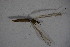  ( - BIOUG05393-D02)  @12 [ ] CreativeCommons - Attribution Non-Commercial Share-Alike (2015) Unspecified SNSB, Zoologische Staatssammlung Muenchen