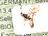  ( - BIOUG05394-A10)  @14 [ ] by-nc-sa (2020) SNSB, Staatliche Naturwissenschaftliche Sammlungen Bayerns SNSB, Zoologische Staatssammlung Muenchen