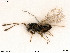  ( - BIOUG05398-A03)  @13 [ ] by-nc-sa (2020) SNSB, Staatliche Naturwissenschaftliche Sammlungen Bayerns SNSB, Zoologische Staatssammlung Muenchen