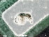  ( - BIOUG05398-D09)  @11 [ ] by-nc-sa (2020) SNSB, Staatliche Naturwissenschaftliche Sammlungen Bayerns SNSB, Zoologische Staatssammlung Muenchen