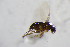  ( - BIOUG05456-B05)  @13 [ ] CreativeCommons - Attribution Non-Commercial Share-Alike (2015) Unspecified SNSB, Zoologische Staatssammlung Muenchen