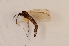  ( - BIOUG05486-C11)  @12 [ ] CreativeCommons - Attribution Non-Commercial Share-Alike (2015) Unspecified SNSB, Zoologische Staatssammlung Muenchen